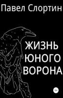 Жизнь юного ворона - Павел Слортин 