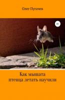 Как мышата птенца летать научили - Олег Пугачёв 