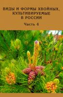 Виды и формы хвойных, культивируемые в России. Часть 4 - Д. Л. Матюхин 