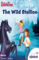 The Wild Stallion - Bibi and Tina (Unabridged) - Stephan Gürtler 