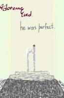 He was perfect - Adorenne Eved 
