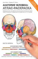 Анатомия человека: атлас-раскраска - Уинн Кэпит Медицинский атлас