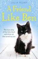 A Friend Like Ben: The true story of the little black and white cat that saved my son - Julia Romp 