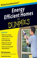 Energy Efficient Homes for Dummies - Rik  DeGunther 