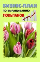Бизнес-план по выращиванию тюльпанов - Павел Шешко 