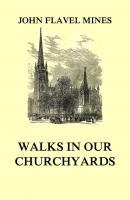 Walks in our Churchyards - John Flavel Mines 