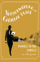Verschwörung am Cadillac Place 3: Rumble in the Jungle - Akos  Gerstner jiffy stories