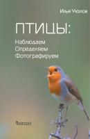 Птицы: наблюдаем, определяем, фотографируем - И. И. Уколов 
