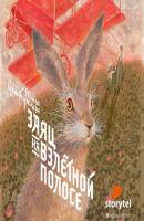 Заяц на взлётной полосе - Юлия Симбирская 
