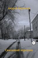 Скользкий переулок - Андрей Караичев 