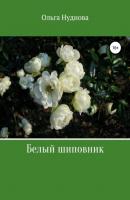 Белый шиповник - Ольга Нуднова 