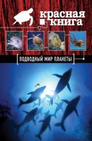 Красная книга. Подводный мир планеты - Оксана Скалдина Красная книга для больших и маленьких